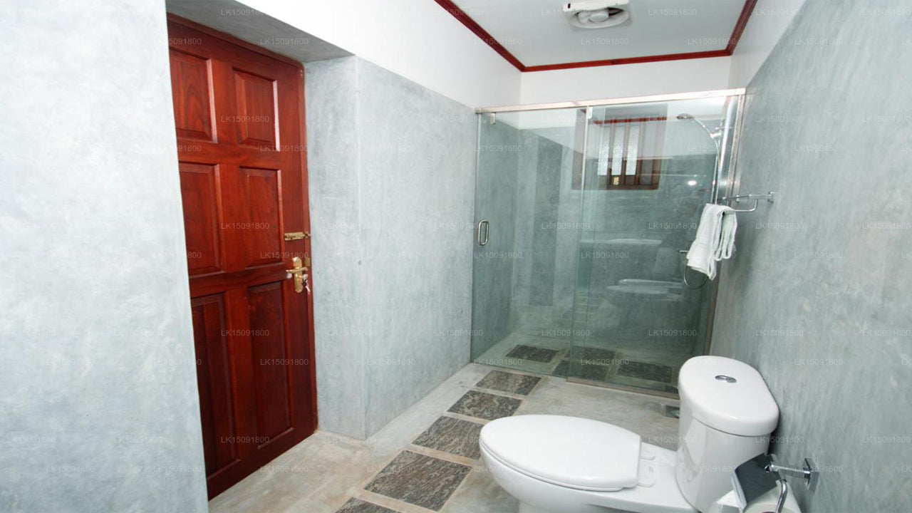 Gangula des Gouverneurs, Dambulla 