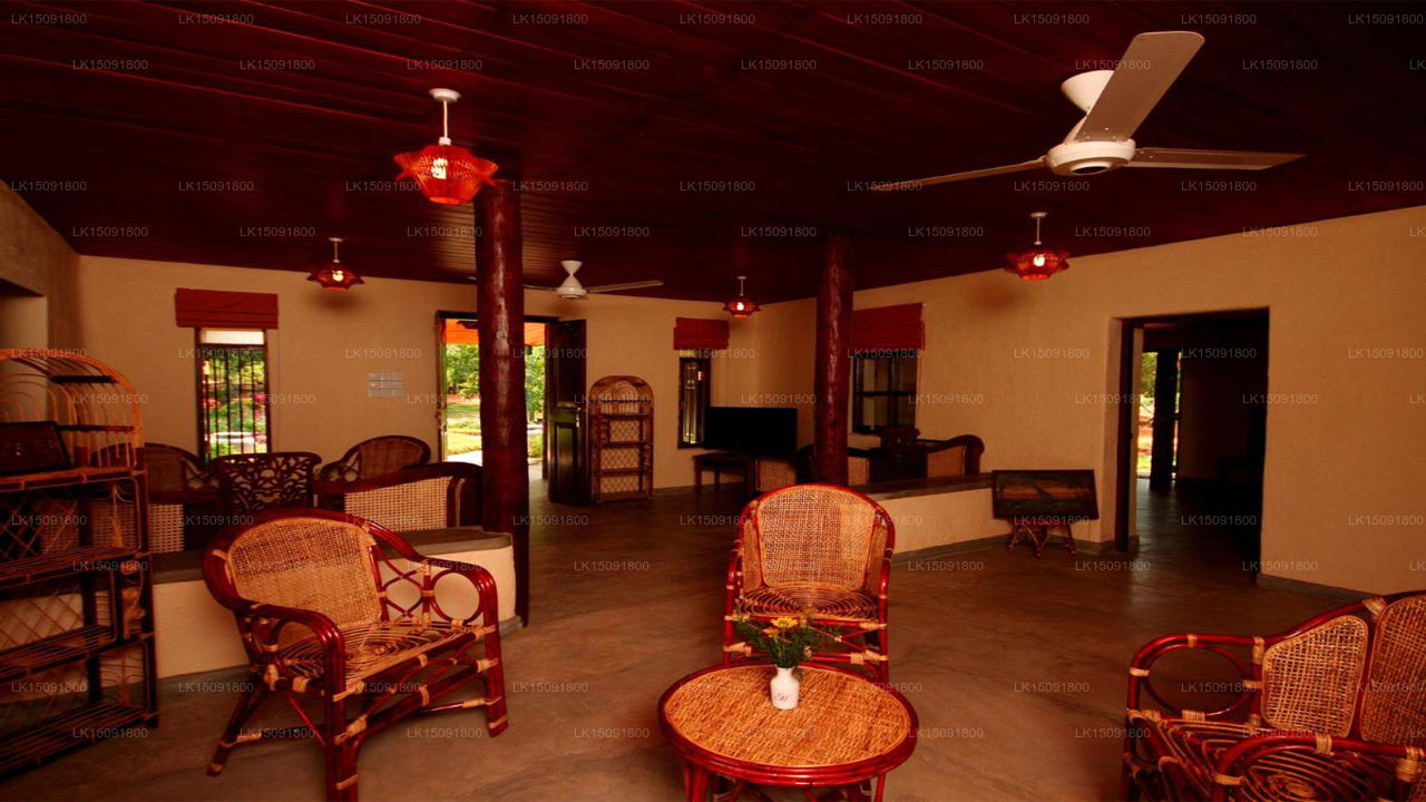 Gangula des Gouverneurs, Dambulla 