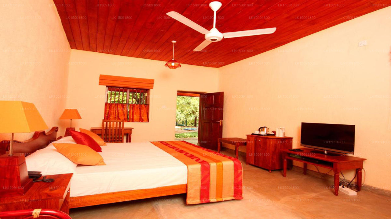 Gangula des Gouverneurs, Dambulla 