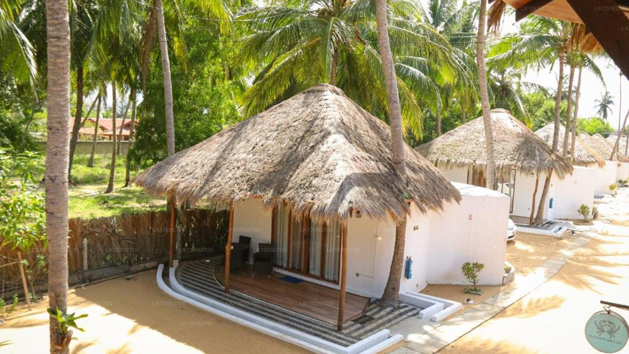 Lagunenhaus Kalpitiya, Kalpitiya 