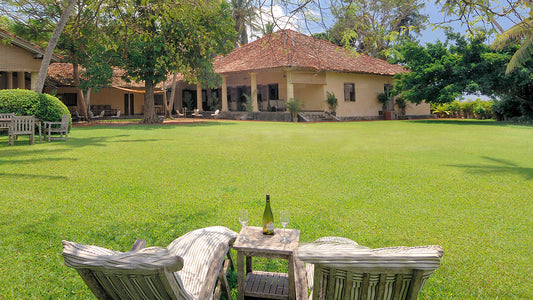 Das niederländische Haus, Galle 