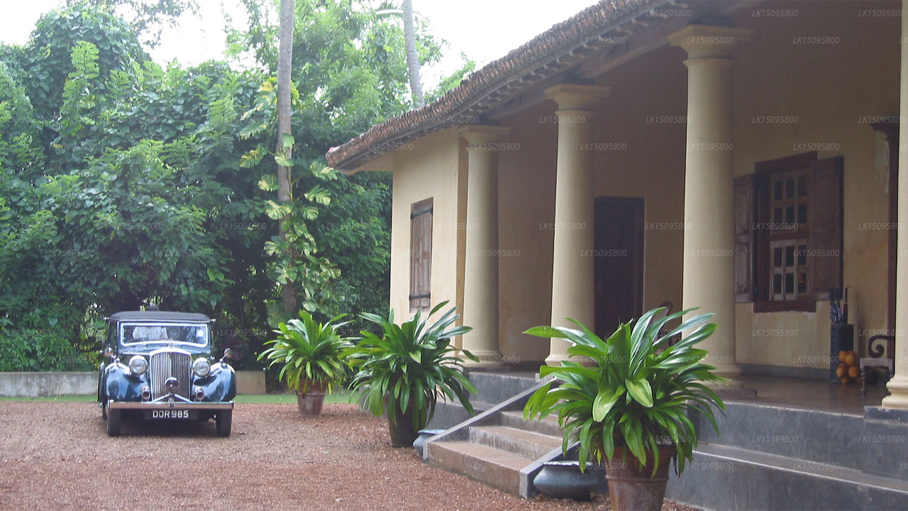 Das niederländische Haus, Galle 