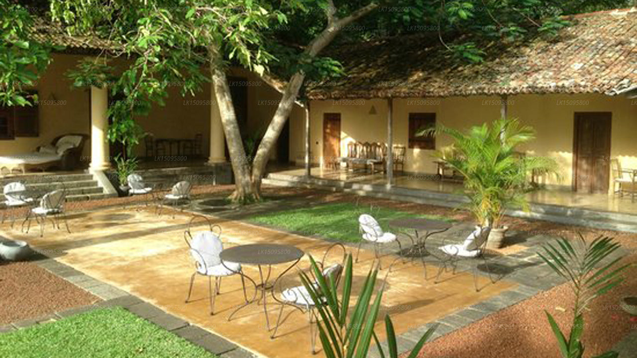 Das niederländische Haus, Galle 