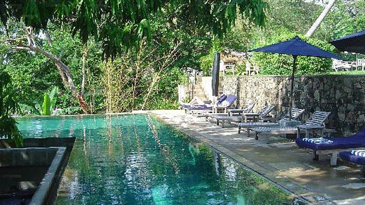 Das niederländische Haus, Galle 