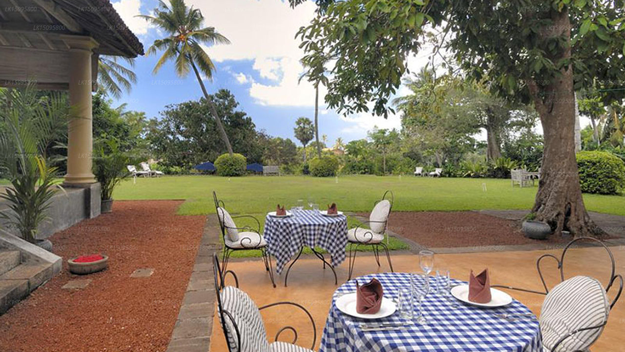 Das niederländische Haus, Galle 