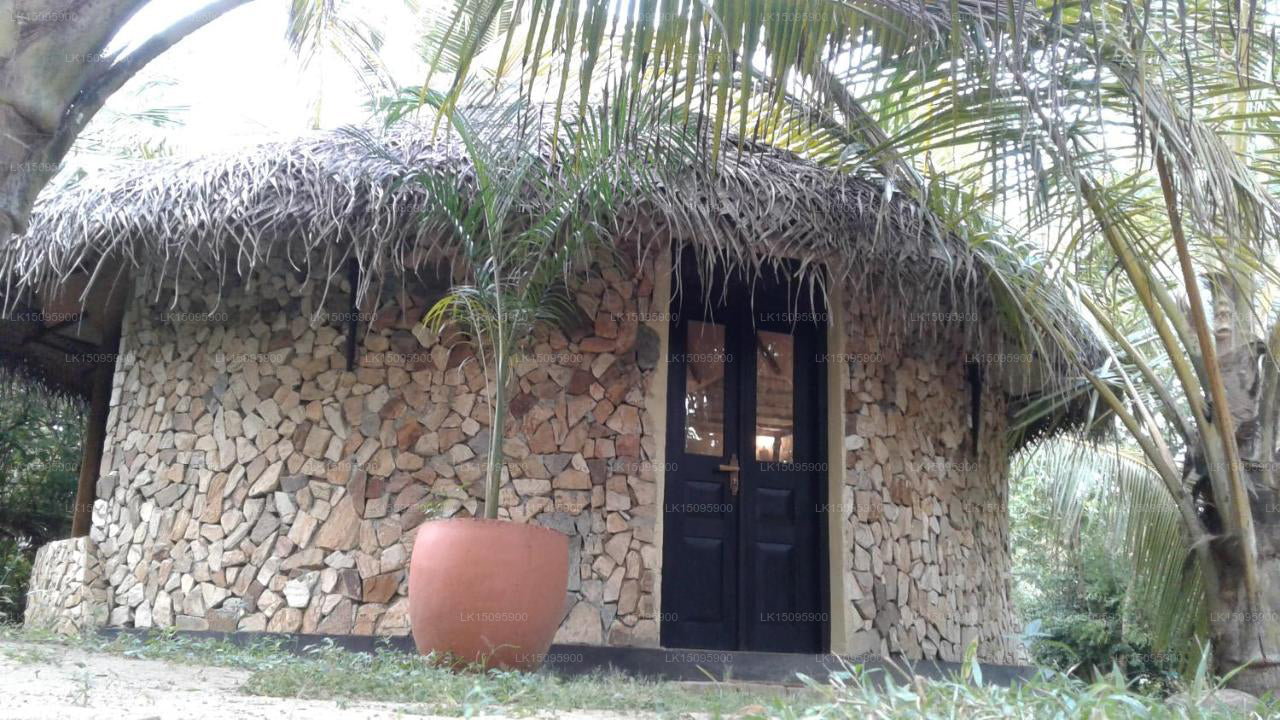 Turtle Beach Cabanas, Tangalle 