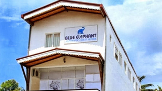 Blue Elephant Tourist Gästehaus