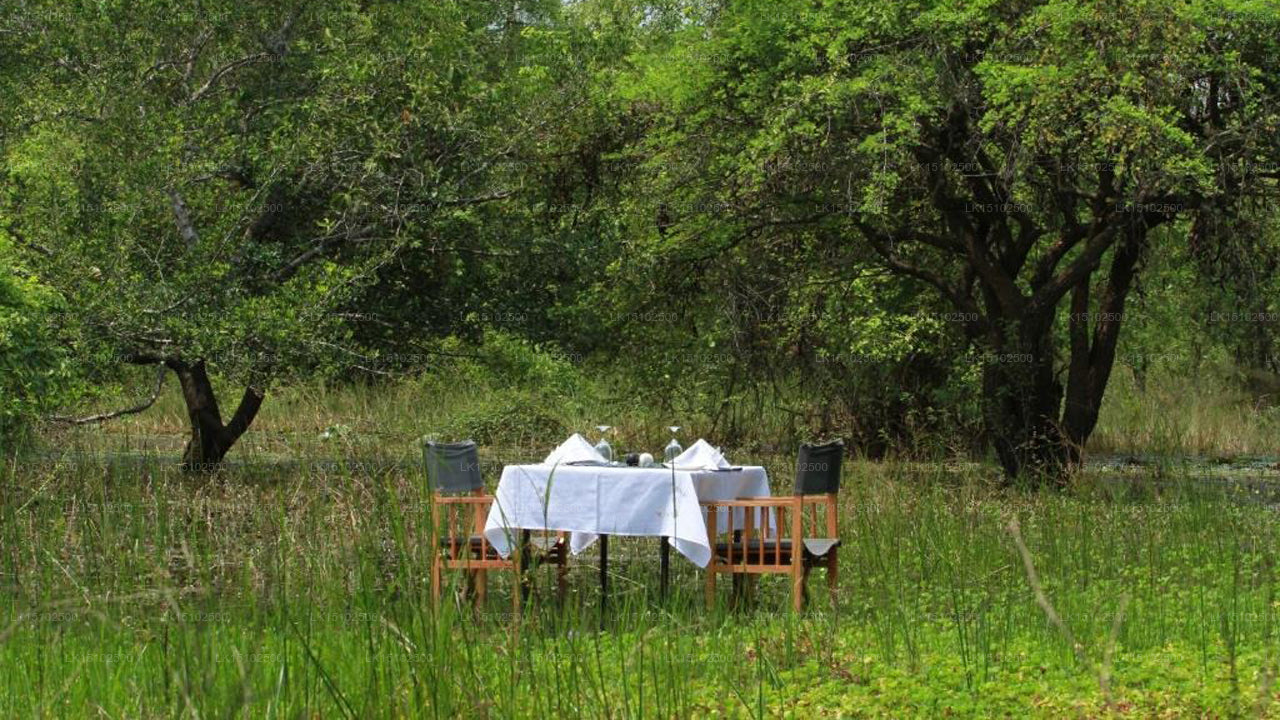 Mahoora Safari Camping, Wilpattu