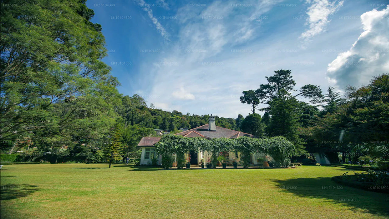 Craigbank Bungalow, Nuwara Eliya 