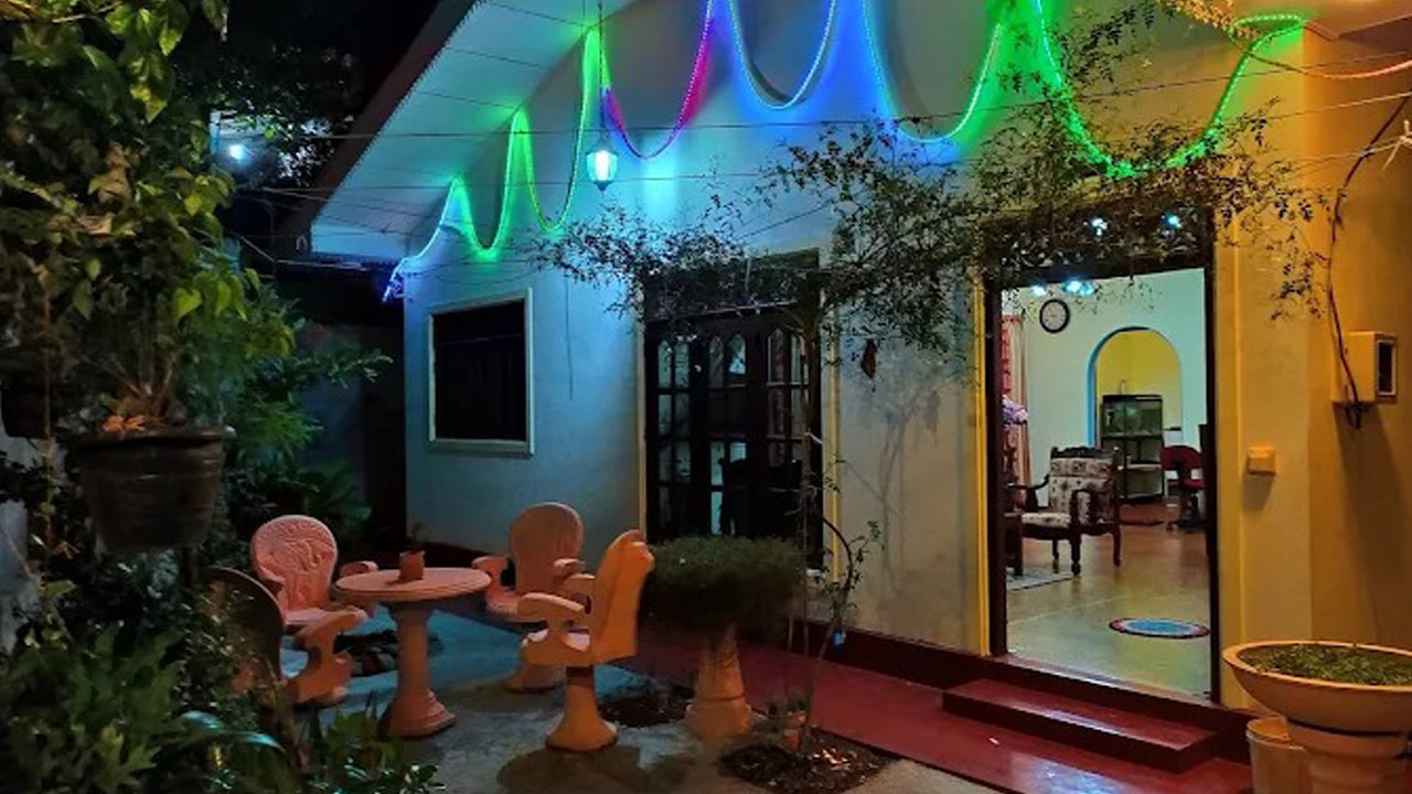 Sonnenblumen-Touristenrast