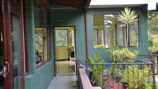 Grüne Wälder, Kandy
