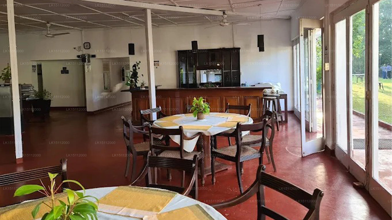 Kitulgala Rasthaus, Kitulgala