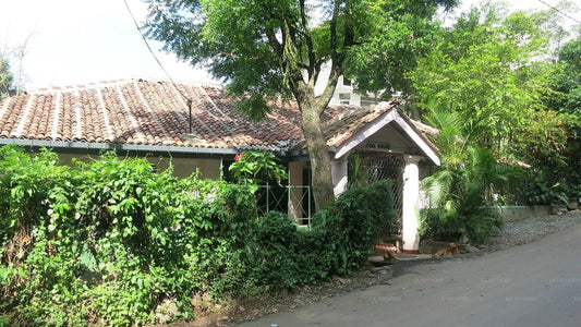 Rosa Haus, Kandy