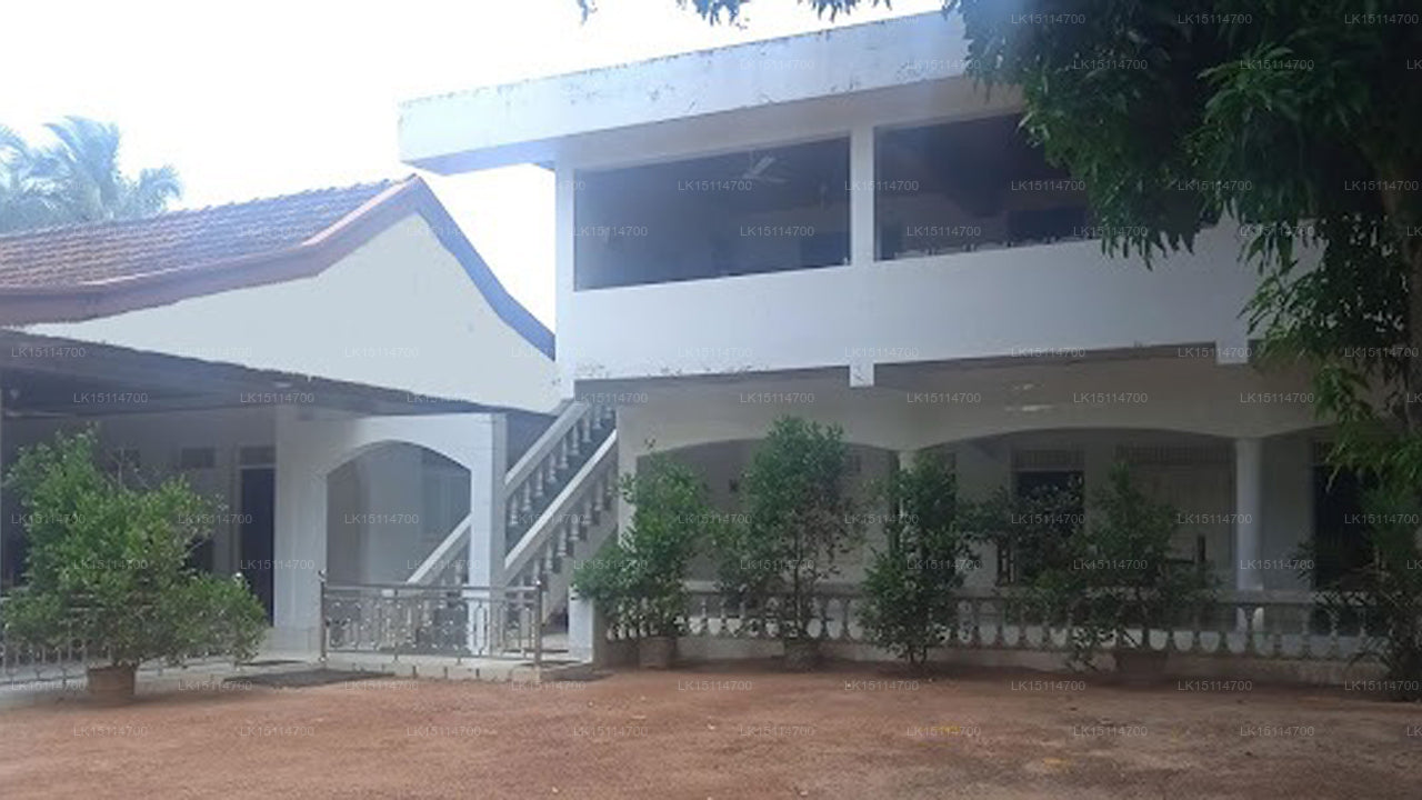 Ranketha Guest House und Restaurant, Puttalam