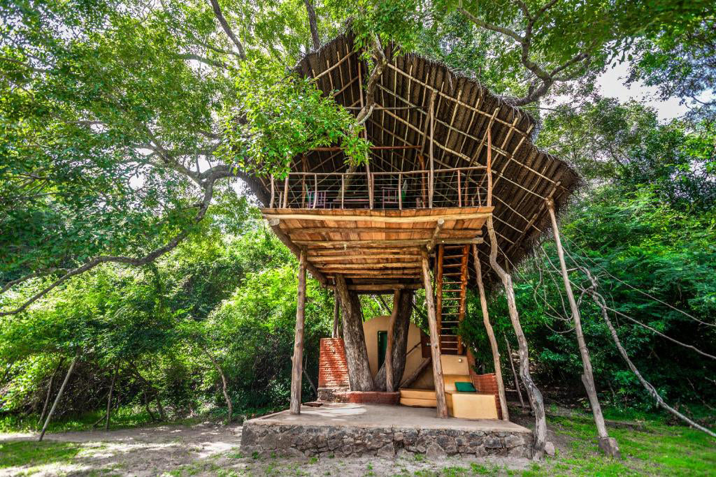 Zurück ins Jenseits - Wild Haven, Dehigaha Ela, Sigiriya