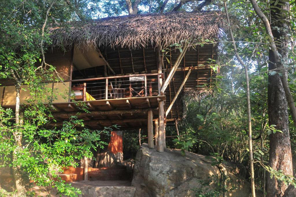 Zurück ins Jenseits - Wild Haven, Dehigaha Ela, Sigiriya