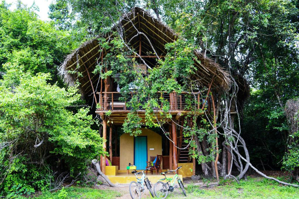 Zurück ins Jenseits - Wild Haven, Dehigaha Ela, Sigiriya
