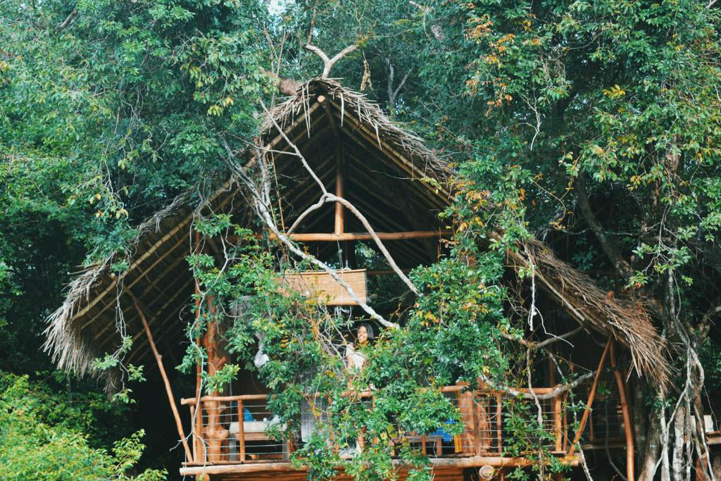 Zurück ins Jenseits - Wild Haven, Dehigaha Ela, Sigiriya