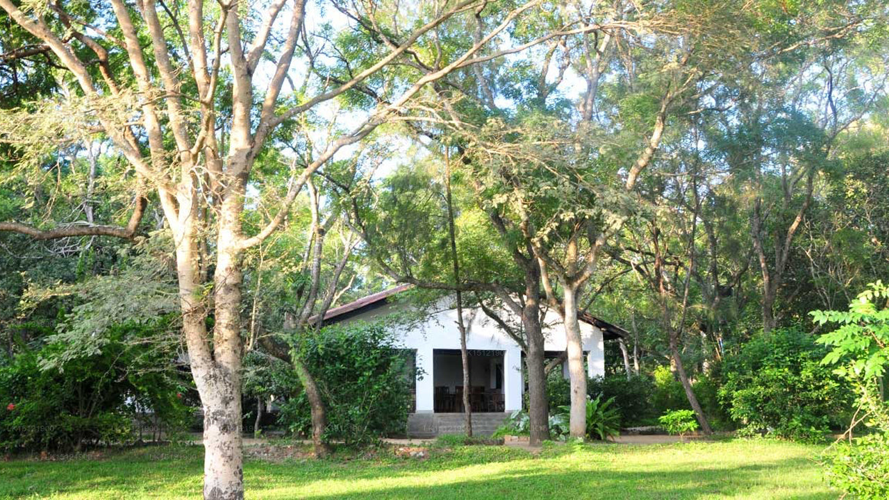 Rückseite des Jenseits - Belihul Oya