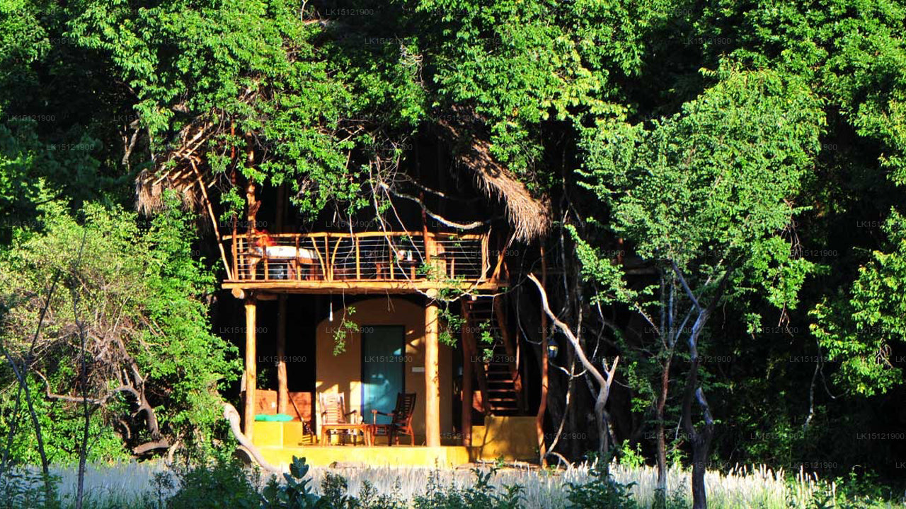 Rückseite des Jenseits - Belihul Oya