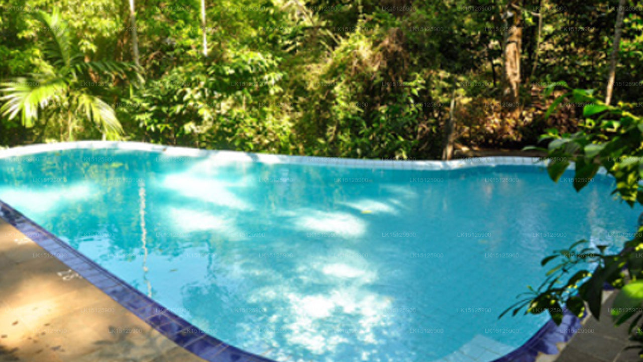 Hantane Shadow Resort, Kandy 