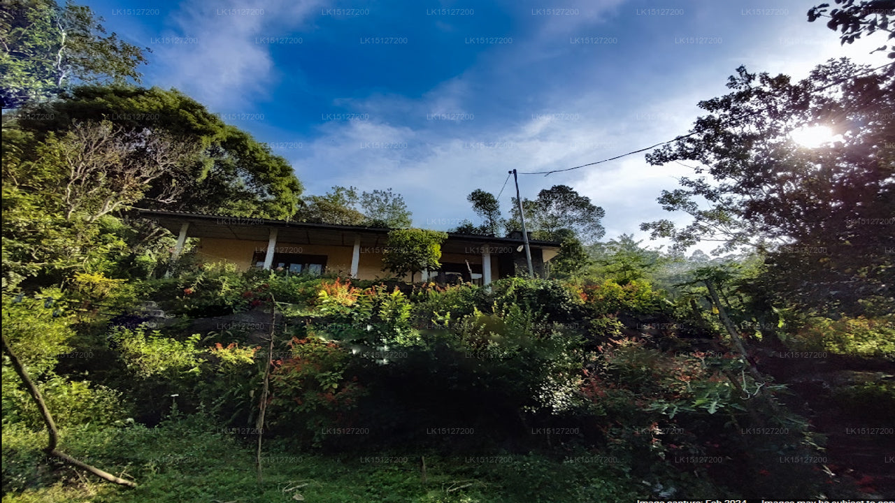 Bambarakanda Eco Holiday Resort, Haputale 
