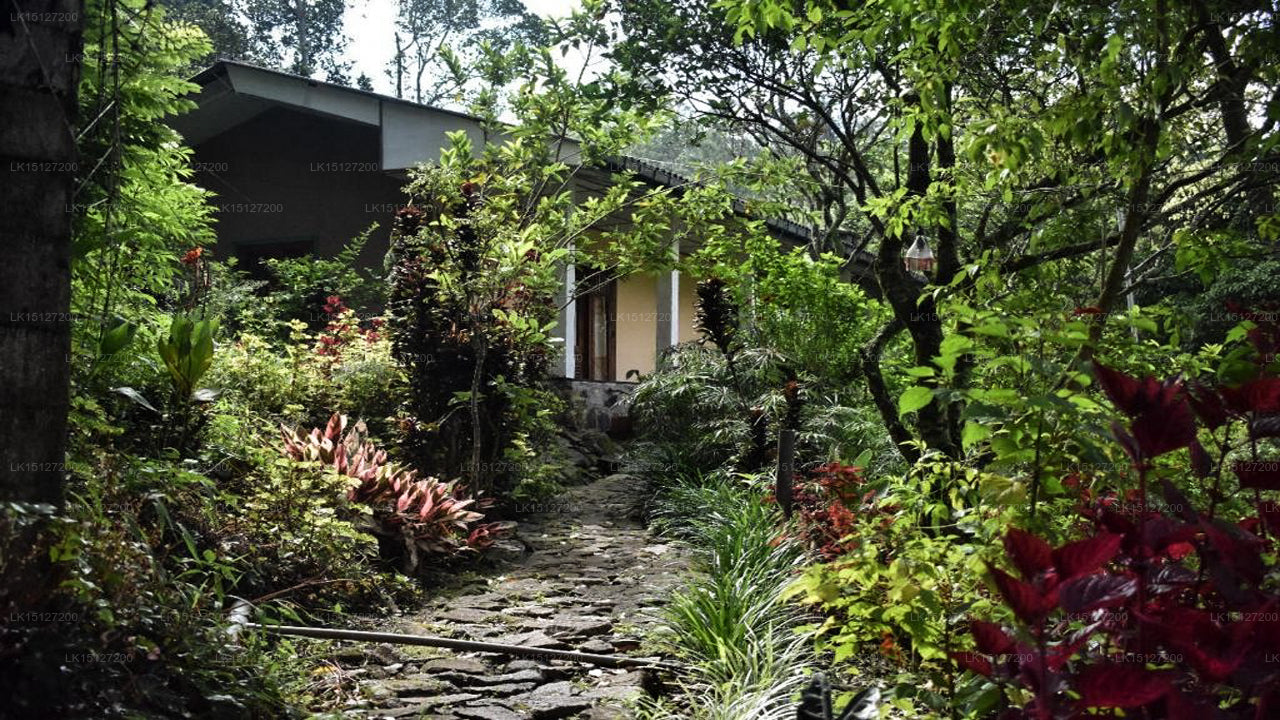 Bambarakanda Eco Holiday Resort, Haputale 