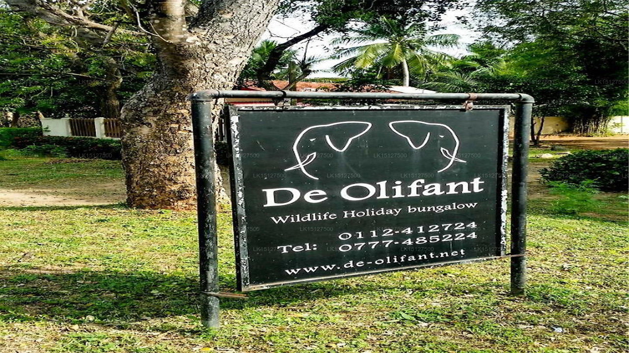 De Olifant Ferienbungalow, Udawalawe