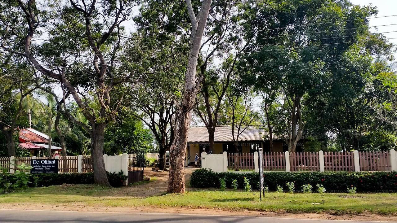 De Olifant Ferienbungalow, Udawalawe