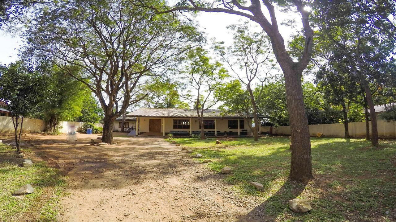 De Olifant Ferienbungalow, Udawalawe