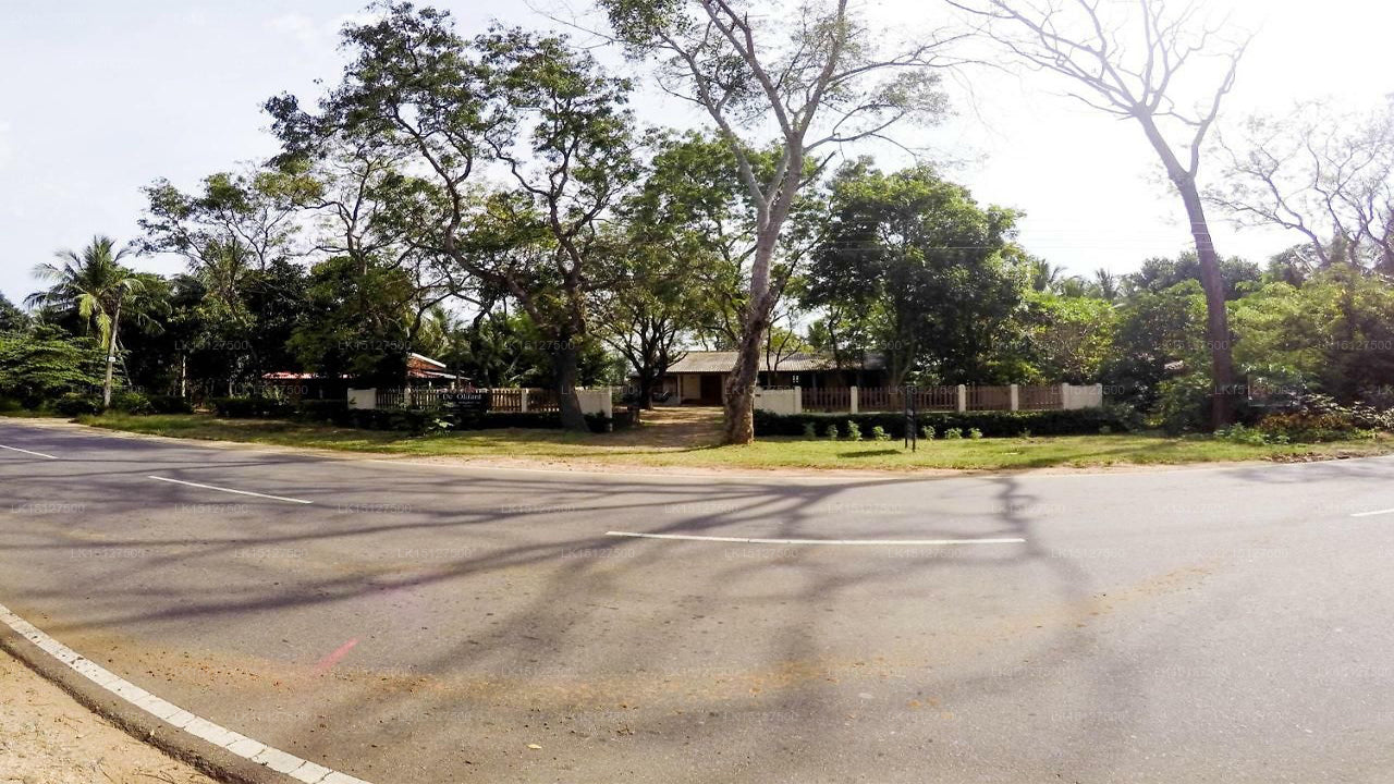 De Olifant Ferienbungalow, Udawalawe