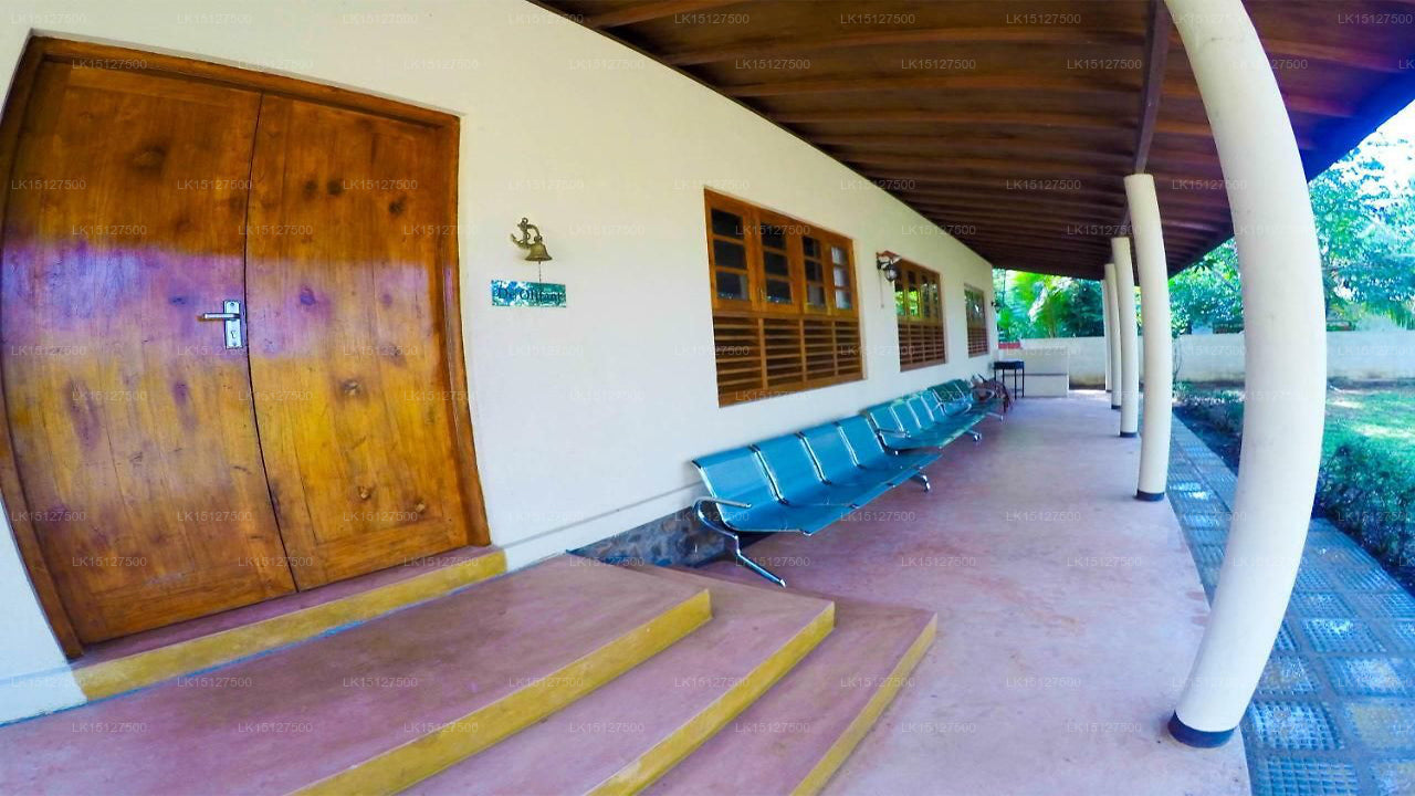 De Olifant Ferienbungalow, Udawalawe