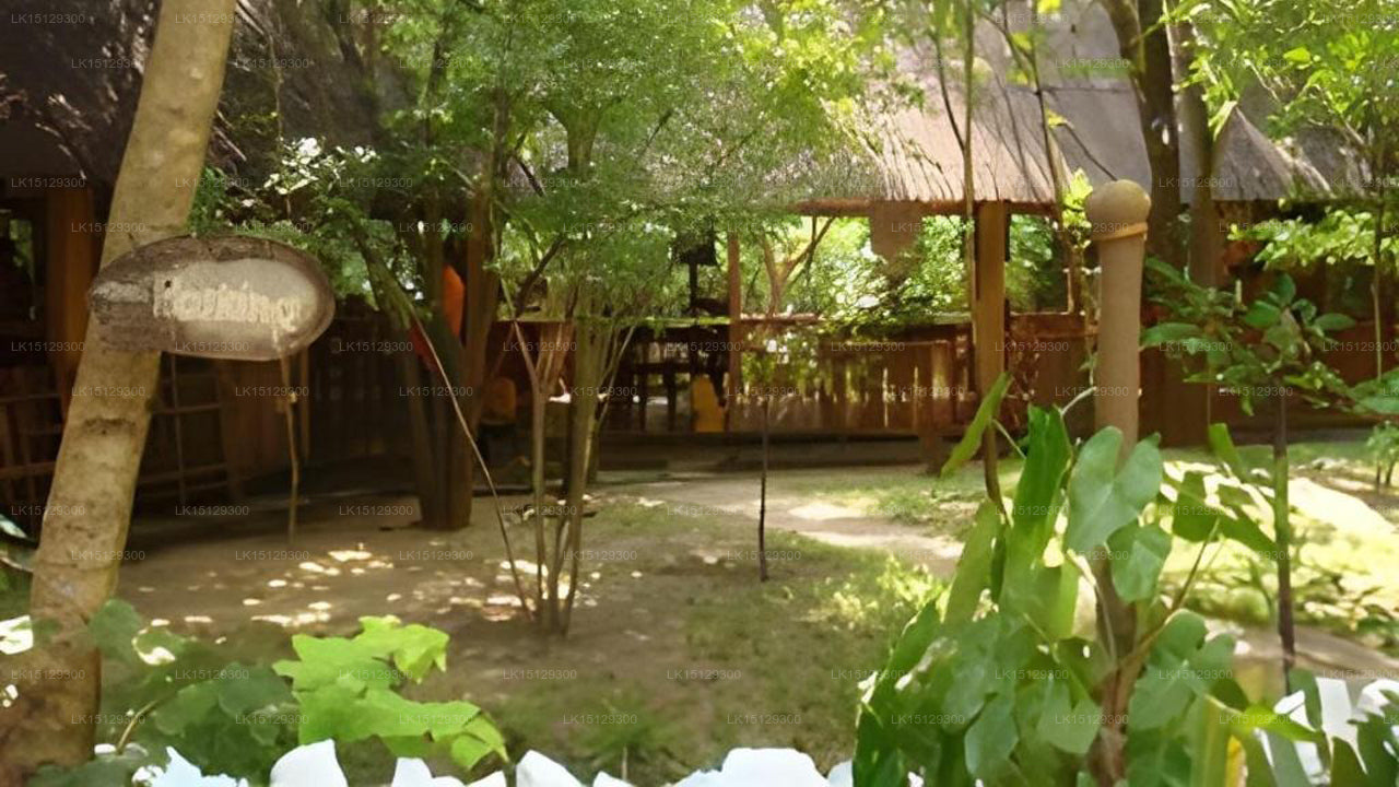 Sigiriya View Resort, Sigiriya 