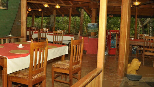 Sigiriya View Resort, Sigiriya 