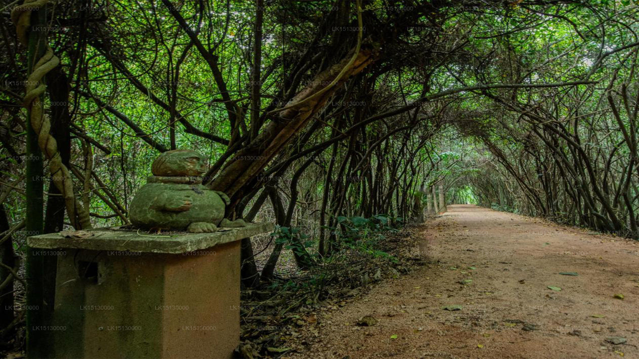 Ging Oya Lodge, Waikkal 