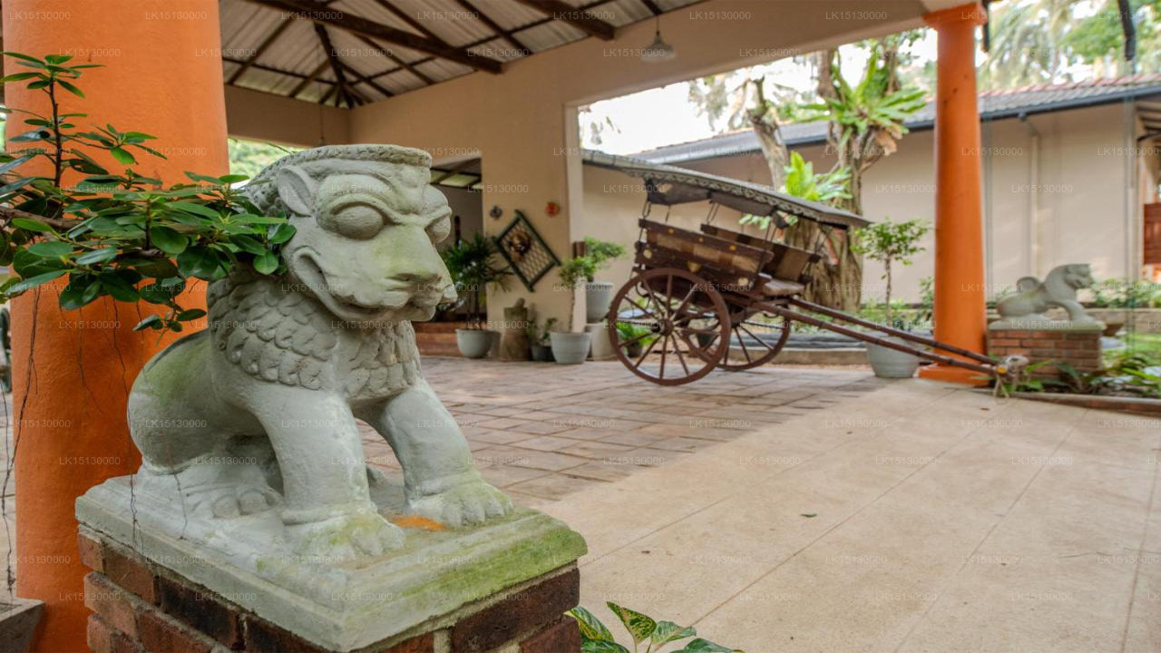 Ging Oya Lodge, Waikkal 