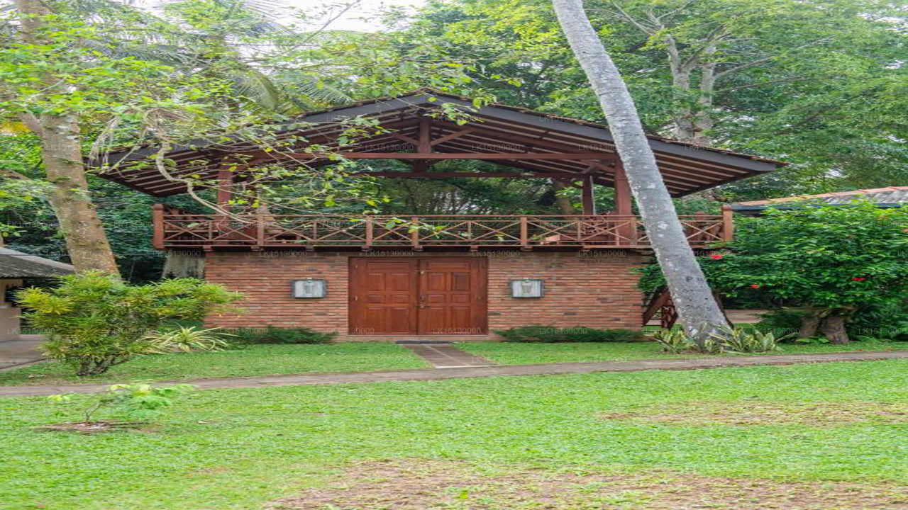 Ging Oya Lodge, Waikkal 