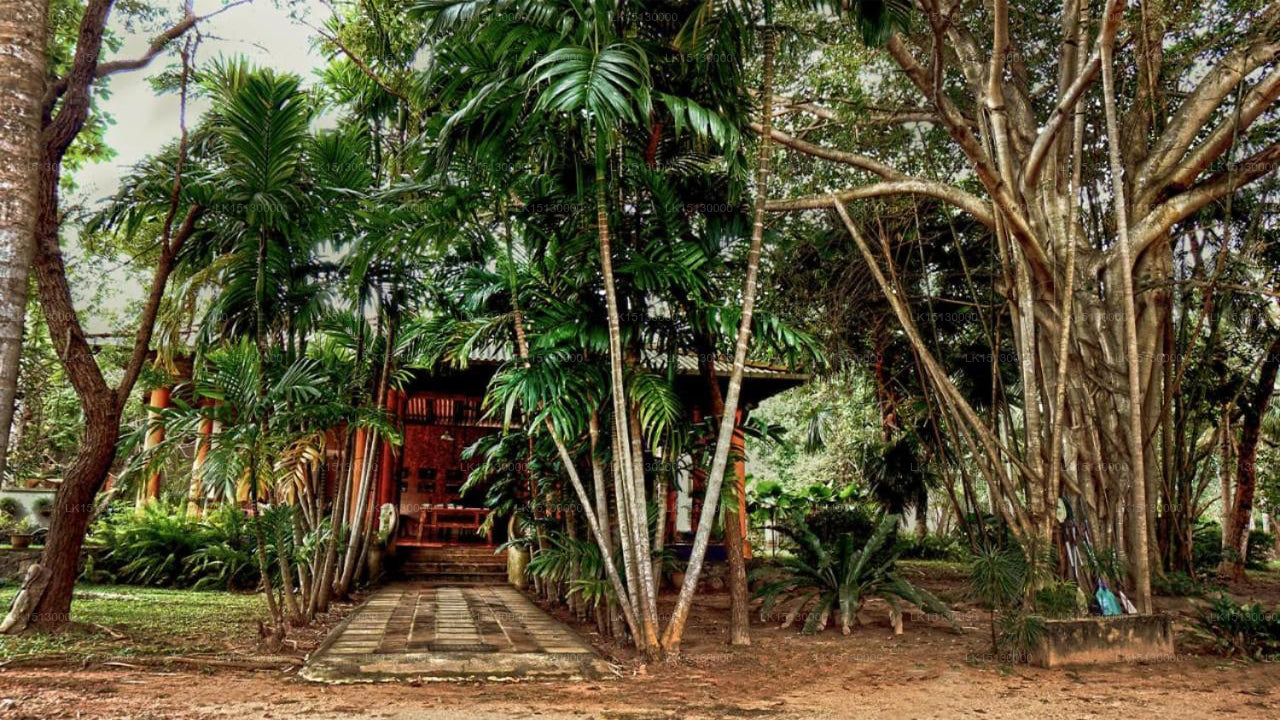 Ging Oya Lodge, Waikkal 