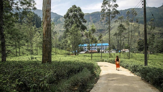 Angenehme Villa, Nuwara Eliya