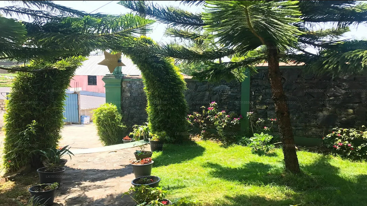 American Star Hotel, Nuwara Eliya 