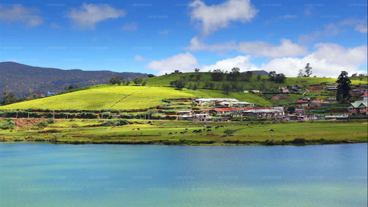 American Star Hotel, Nuwara Eliya 