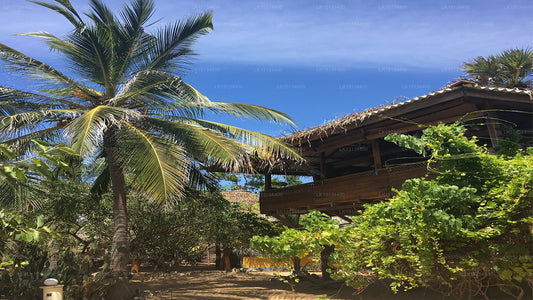 Aloha Cabanas, Arugam Bay 