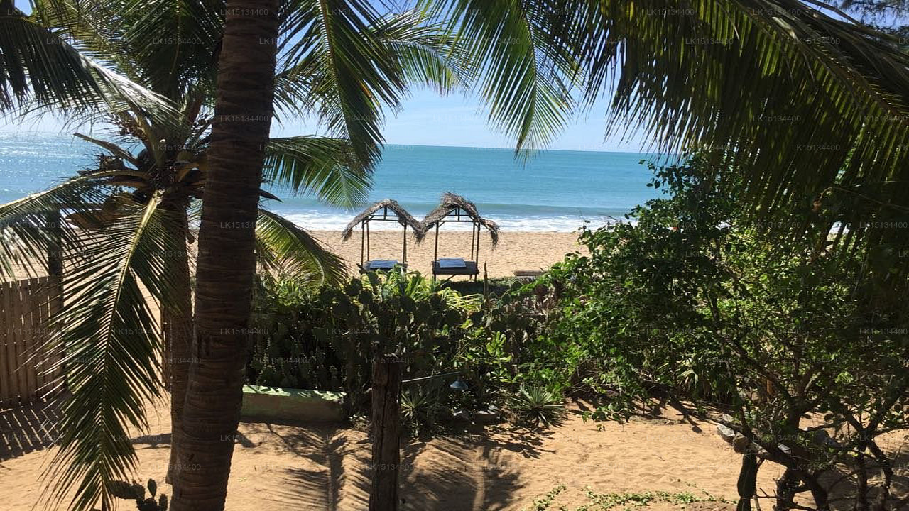 Aloha Cabanas, Arugam Bay 