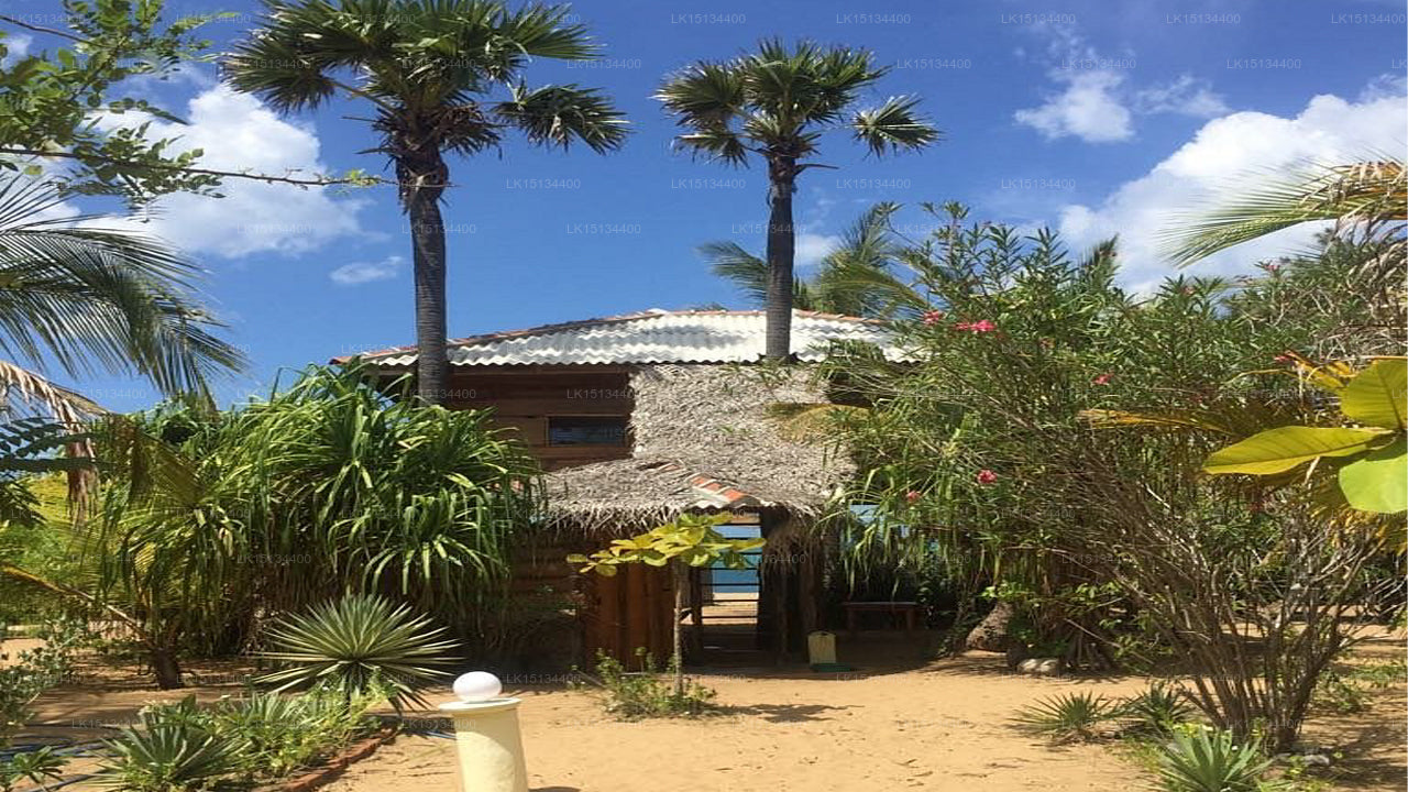 Aloha Cabanas, Arugam Bay 