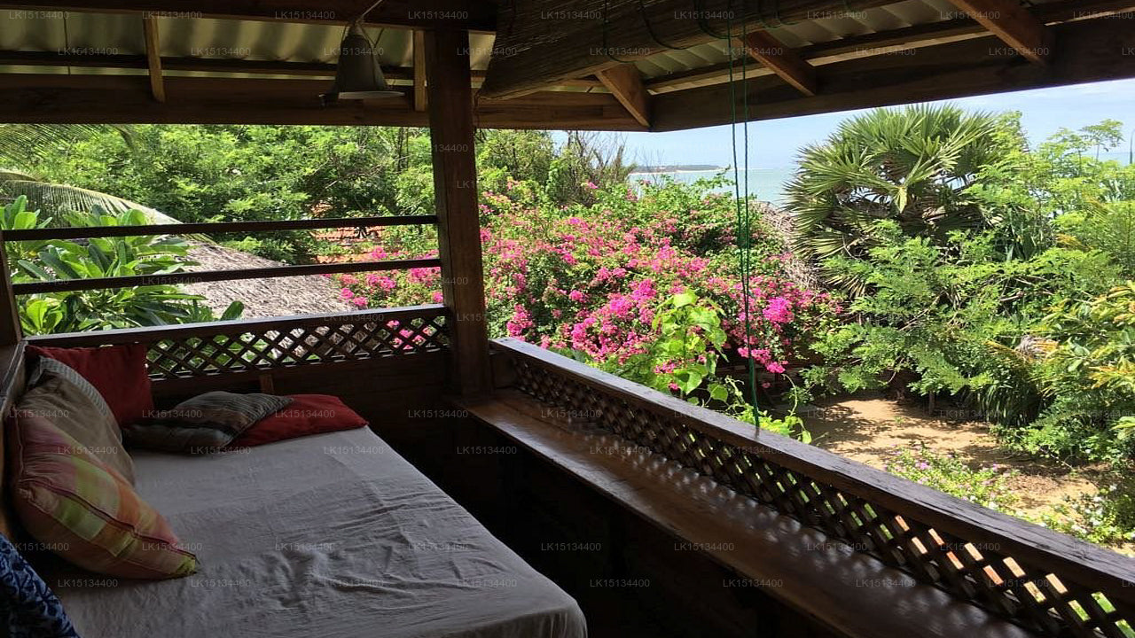 Aloha Cabanas, Arugam Bay 