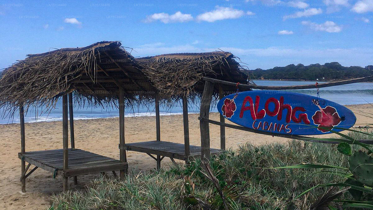 Aloha Cabanas, Arugam Bay 