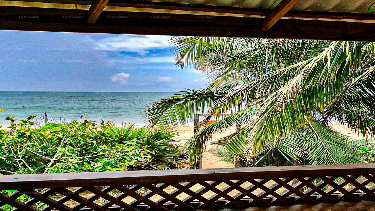 Aloha Cabanas, Arugam Bay 
