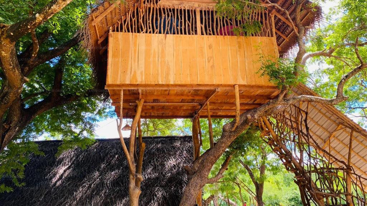 Öko-Baumhaus, Tangalle