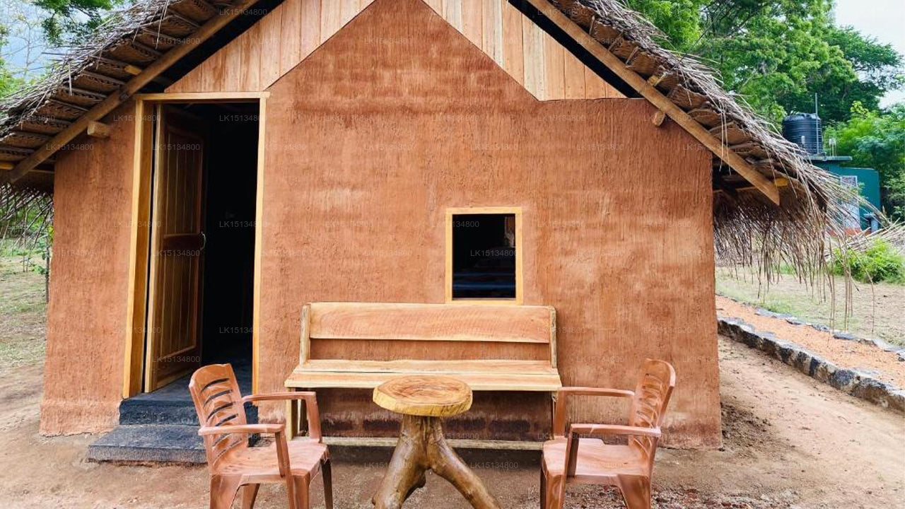 Öko-Baumhaus, Tangalle