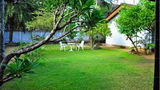 Bauerngarten, Mount Lavinia 